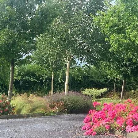 Swallow's Rest Garden