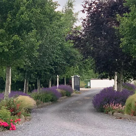 Swallow's Rest Garden Lejlighed *