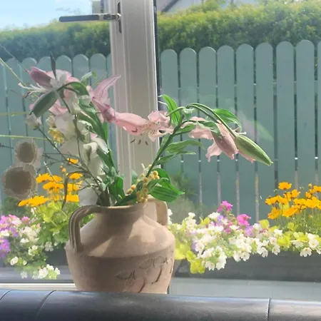 Swallow's Rest Garden *