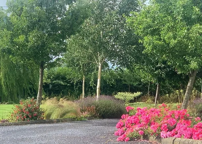 Swallow's Rest Garden