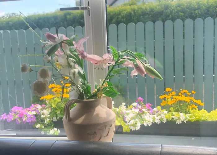 Swallow's Rest Garden *